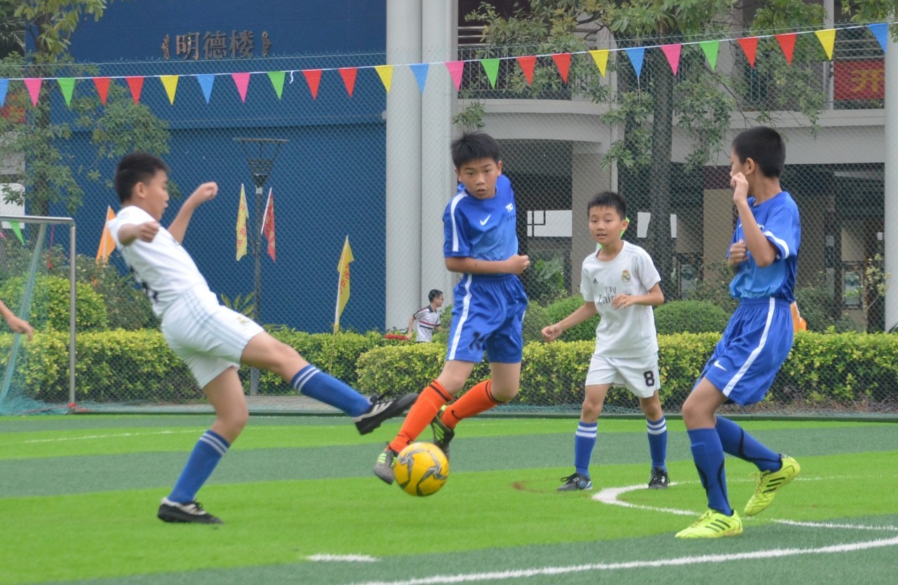 易碎的薯片 易碎的薯片