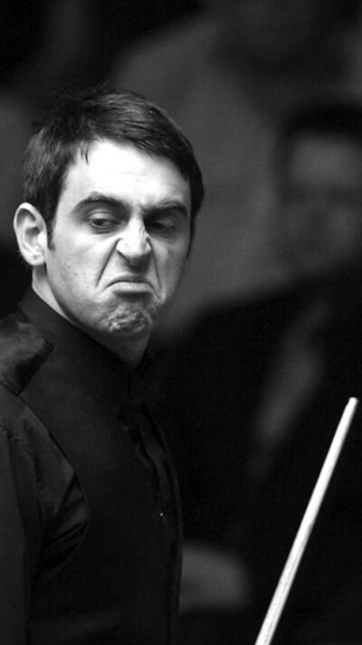 更是对团队 更是对团队