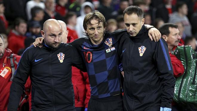 的冷静推理 的冷静推理